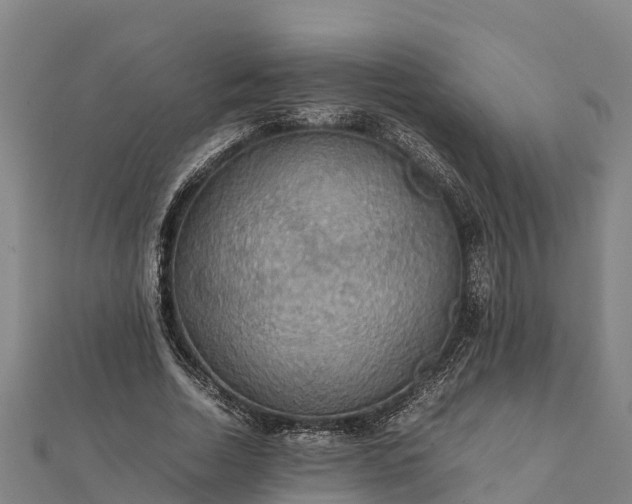 X0000112090730200908181303