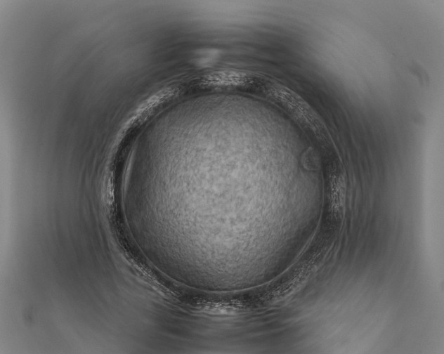 X0000112090731200908181303