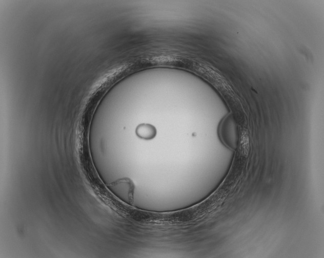 X0000112090732200908181303