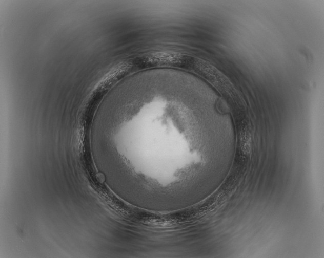 X0000112090735200908181303