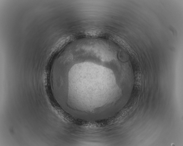 X0000112090738200908181303