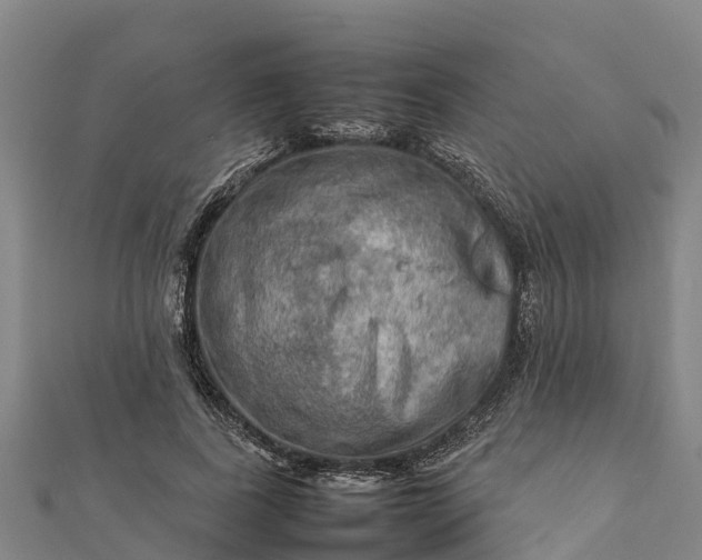 X0000112090739200908181303