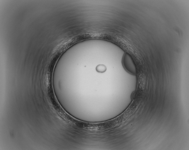 X0000112090740200908181303