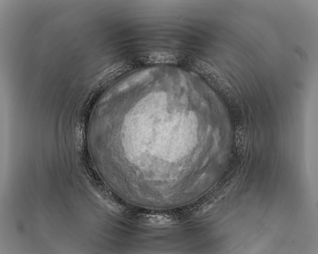 X0000112090741200908181303