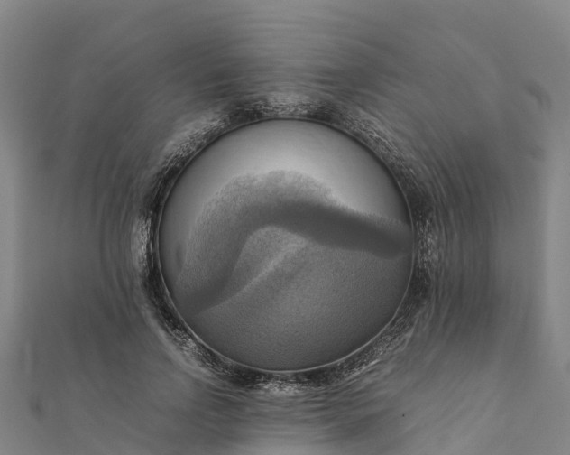 X0000112090742200908181303