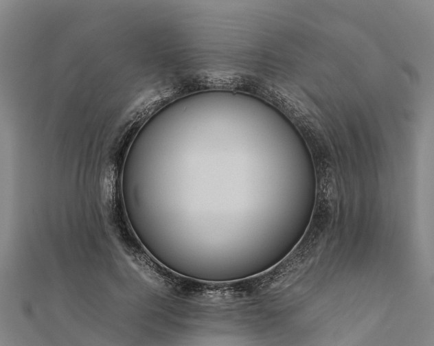 X0000112090744200908181303