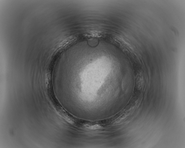 X0000112090747200908181303