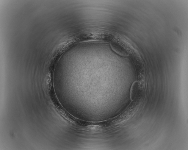 X0000112090748200908181303