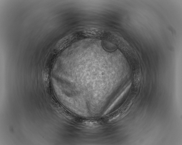 X0000112090749200908181303