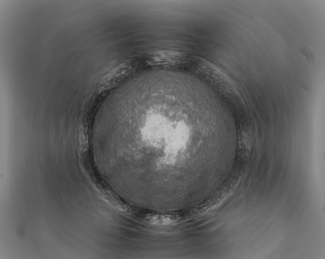 X0000112090751200908181303