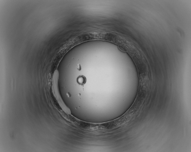 X0000112090752200908181303