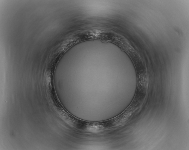 X0000112090754200908181303