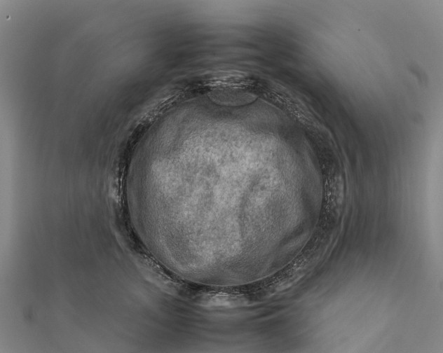 X0000112090755200908181303