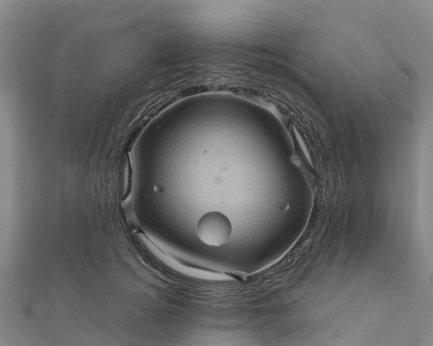 X0000112090756200908181303