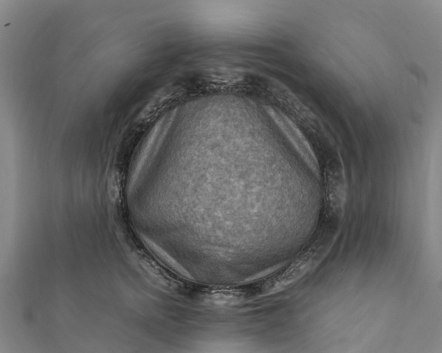 X0000112090758200908181303