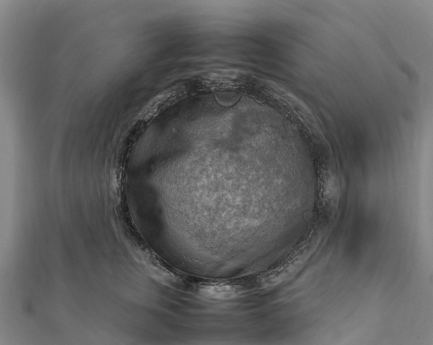 X0000112090759200908181303