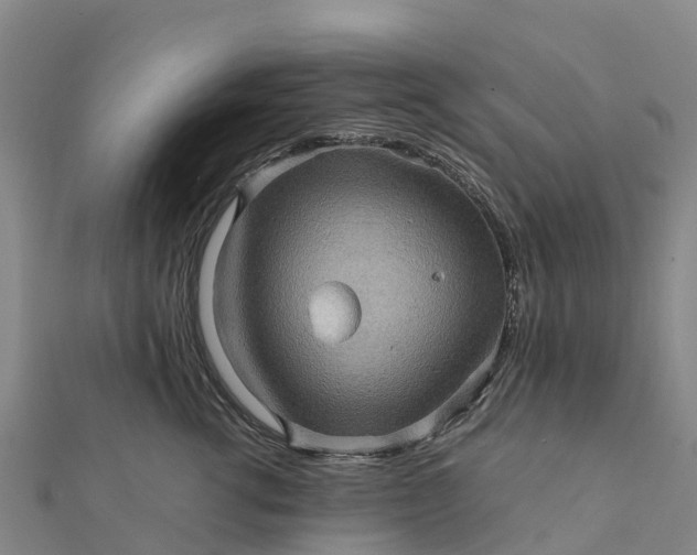 X0000112090762200908181303