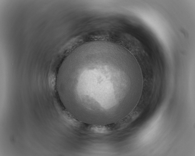 X0000112090767200908181303