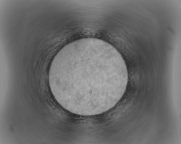 X0000112090769200908181303