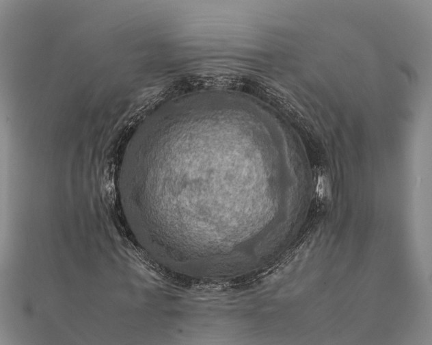 X0000112090771200908181303