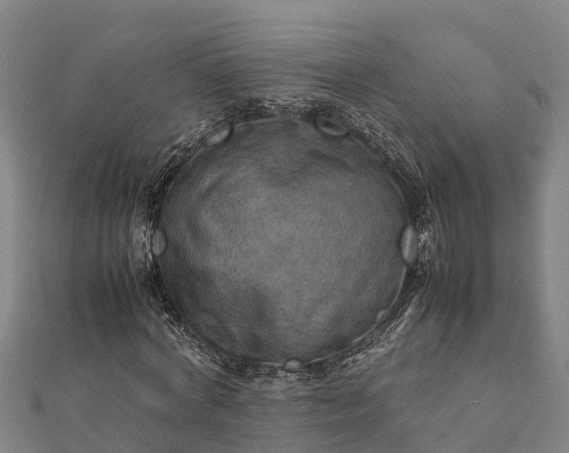 X0000112090772200908181303