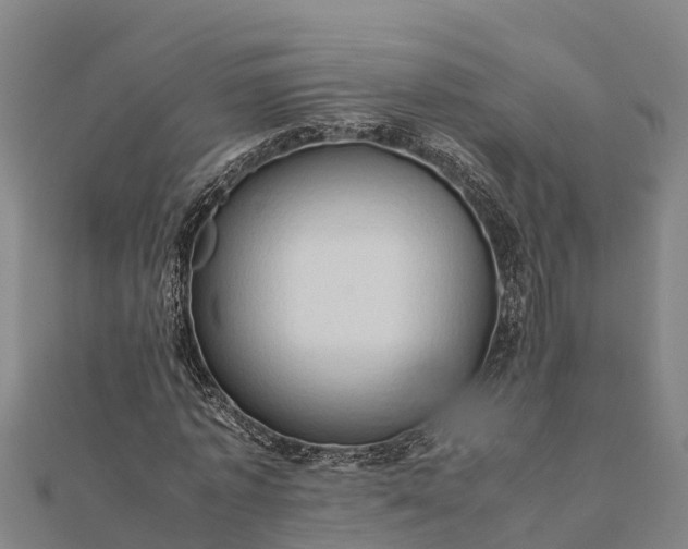 X0000112090773200908181303