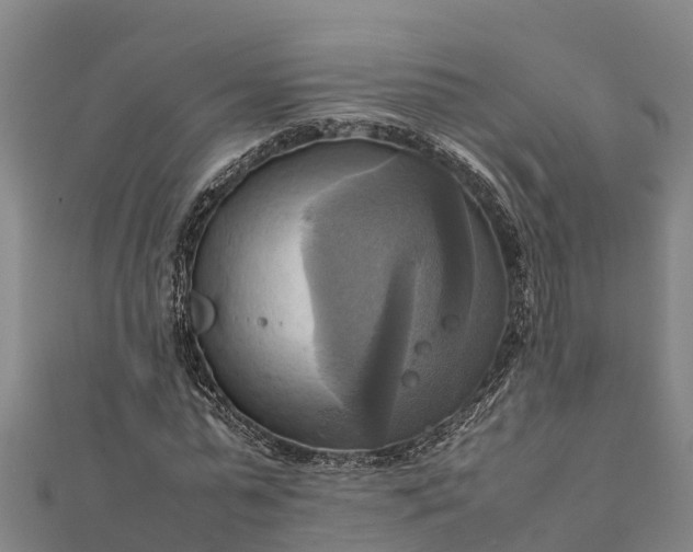 X0000112090775200908181303