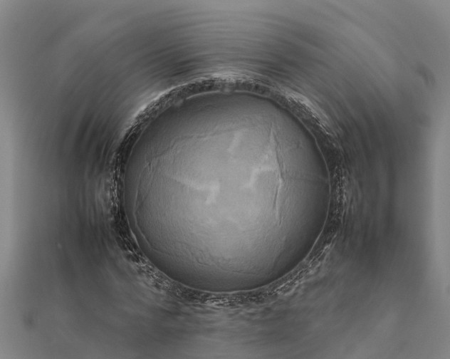 X0000112090776200908181303