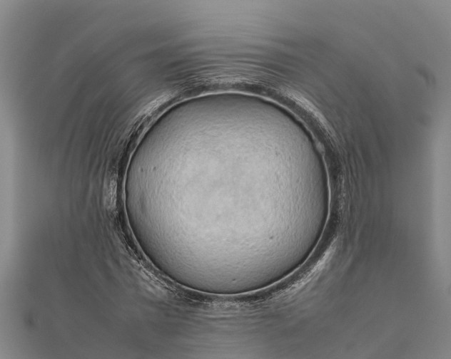 X0000112090777200908181303