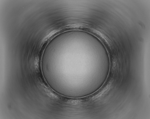 X0000112090778200908181303