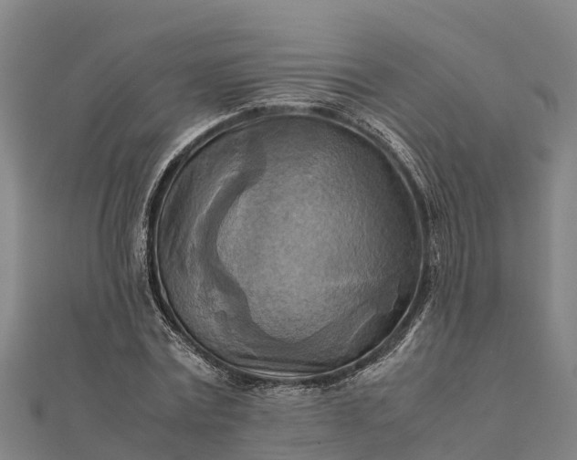 X0000112090779200908181303