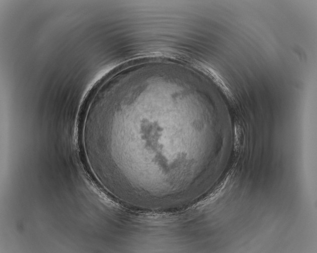 X0000112090780200908181303