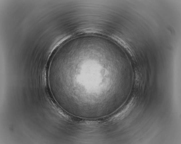 X0000112090782200908181303