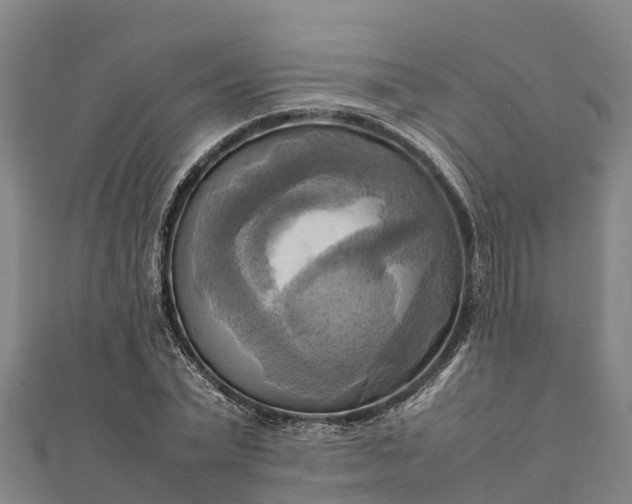 X0000112090783200908181303