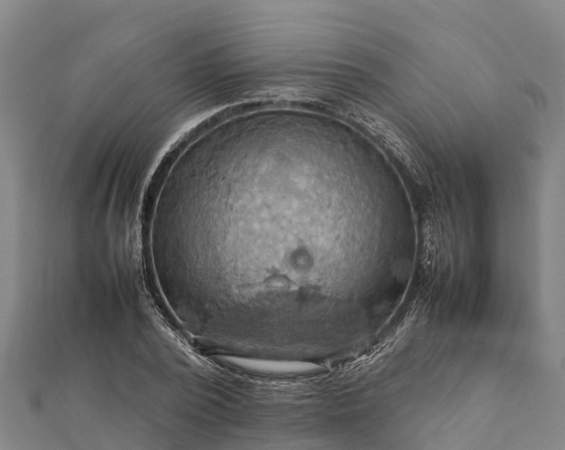 X0000112090784200908181303