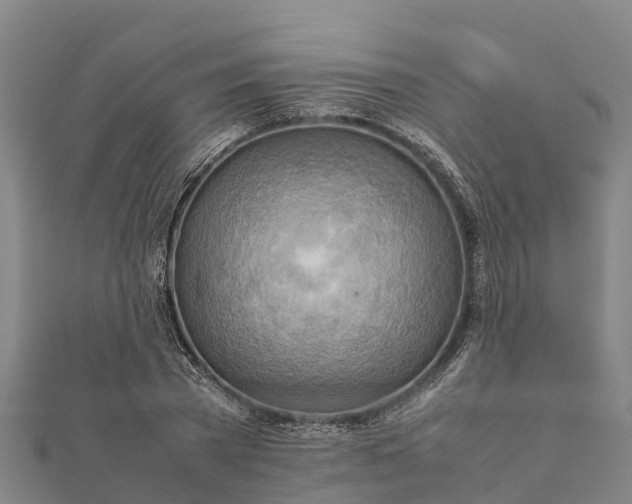 X0000112090785200908181303