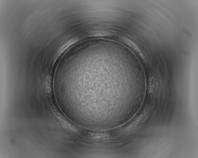 X0000112090786200908181302