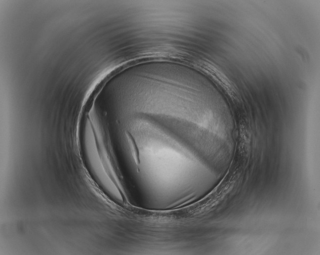 X0000112090788200908181302