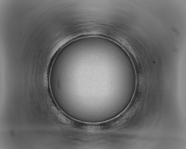 X0000112090789200908181302