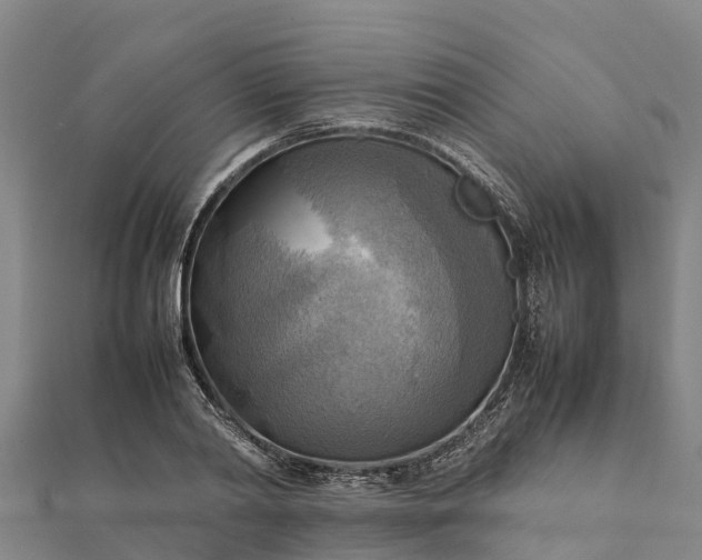 X0000112090790200908181302