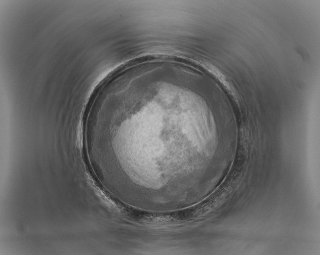 X0000112090791200908181302