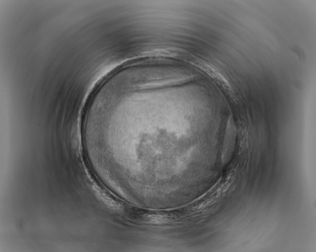 X0000112090792200908181302