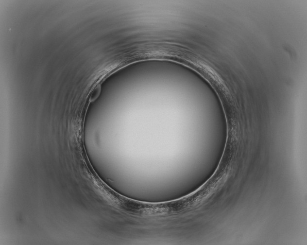 X0000112090793200908181302