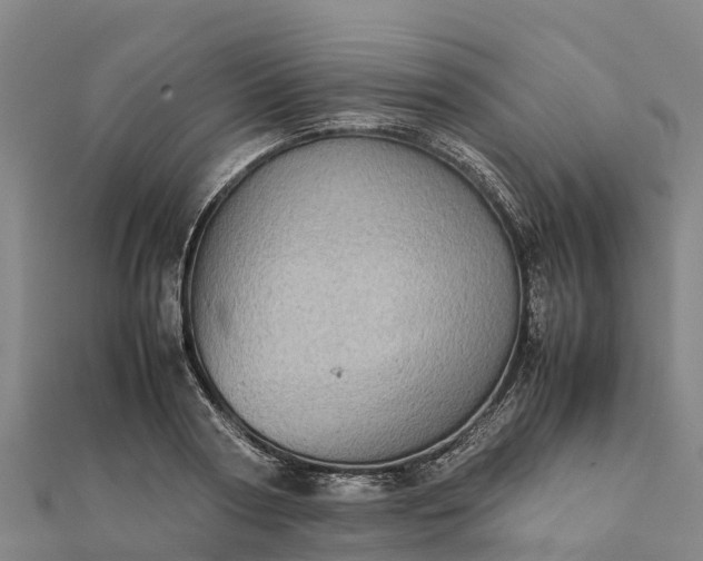 X0000112090794200908181302