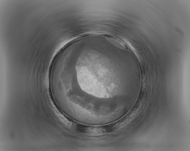 X0000112090795200908181302