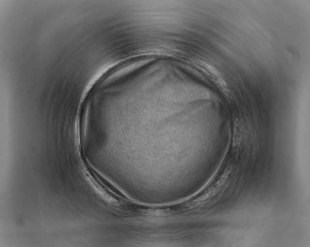 X0000112090796200908181302