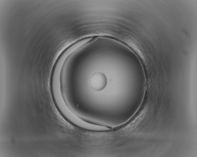 X0000112090797200908181302