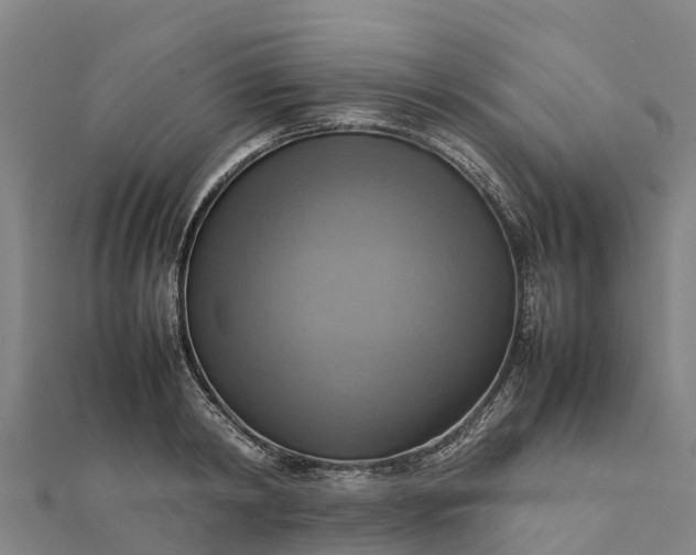 X0000112090798200908181302