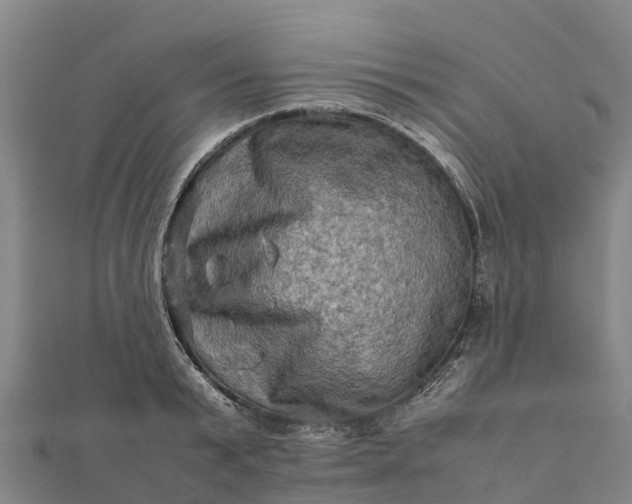 X0000112090799200908181302