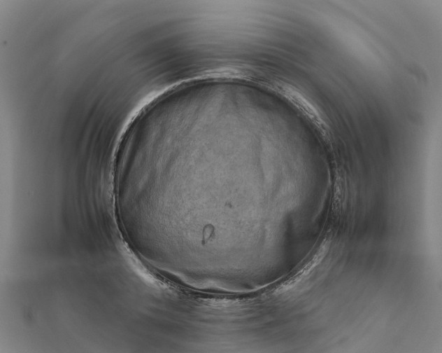 X0000112090800200908181302